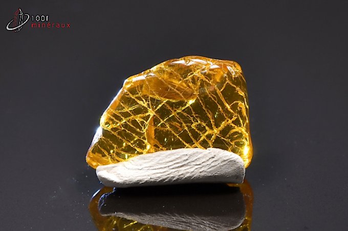 ambre-fossiles
