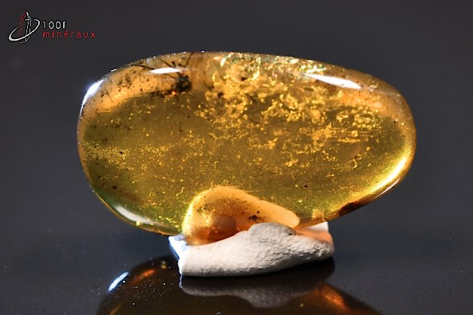 ambre-fossiles
