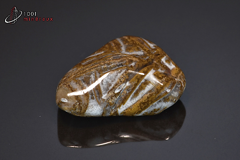 Jaspe chocolat poli - Namibie - pierres roulées 3,3 cm / 15g / BF594