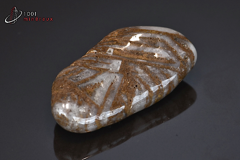 Jaspe chocolat poli - Namibie - pierres roulées 4,4 cm / 17g / BF597