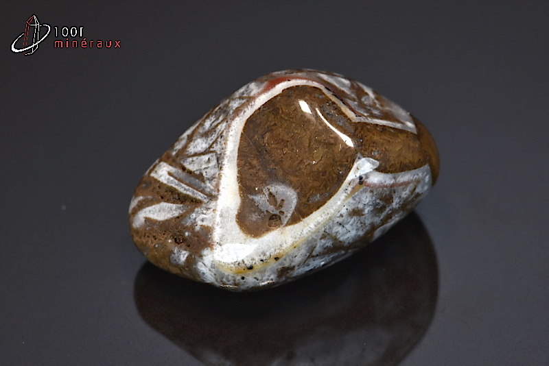 Jaspe chocolat poli - Namibie - pierres roulées 3,6 cm / 24g / BF598
