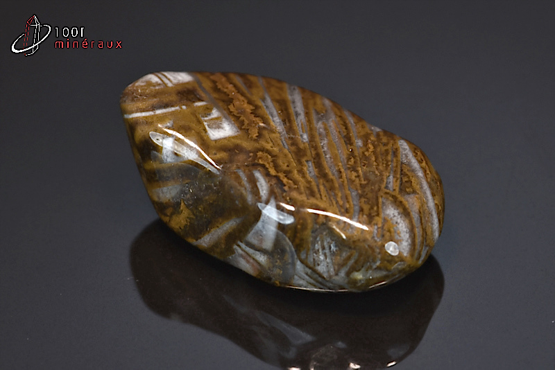Jaspe chocolat poli - Namibie - pierres roulées 4 cm / 20g / BF599