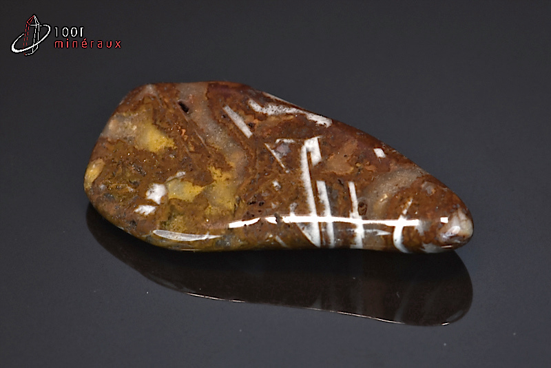 Jaspe chocolat poli - Namibie - pierres roulées 4,7 cm / 15g / BF600