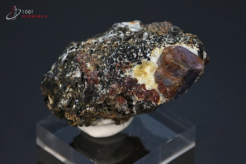 Corindon Saphir bleu et rouge sur Biotite - Madagascar - minéraux à cristaux 6,1 cm / 101g / BG102
