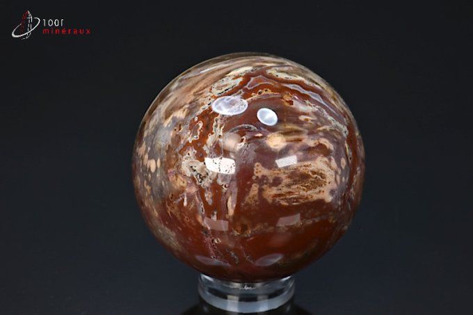 sphere bois fossile