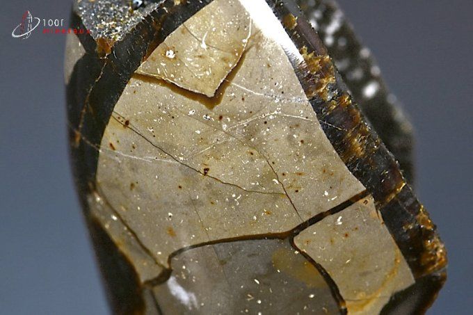 Septaria sauvage - Madagascar - minéraux polis 9,9 cm / 411g / BG277