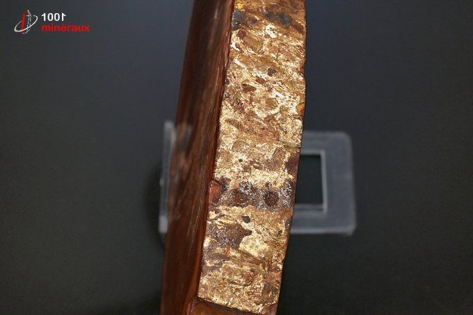 bois_fossile