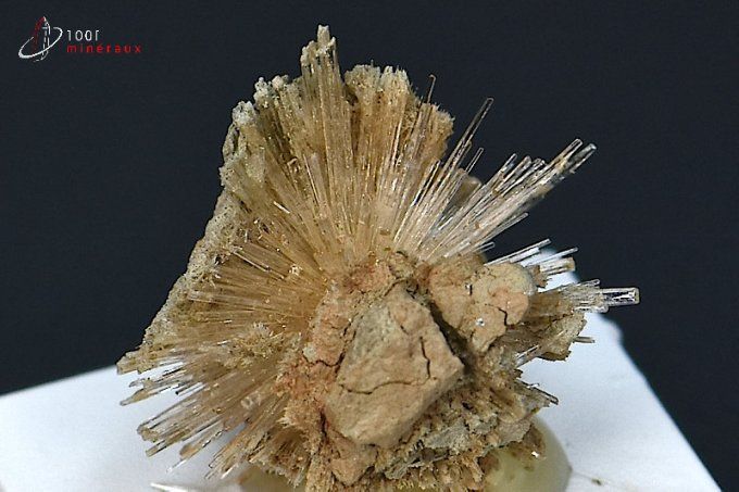 cristaux aciculaires aragonite