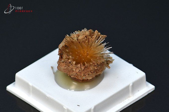 cristaux aciculaires aragonite