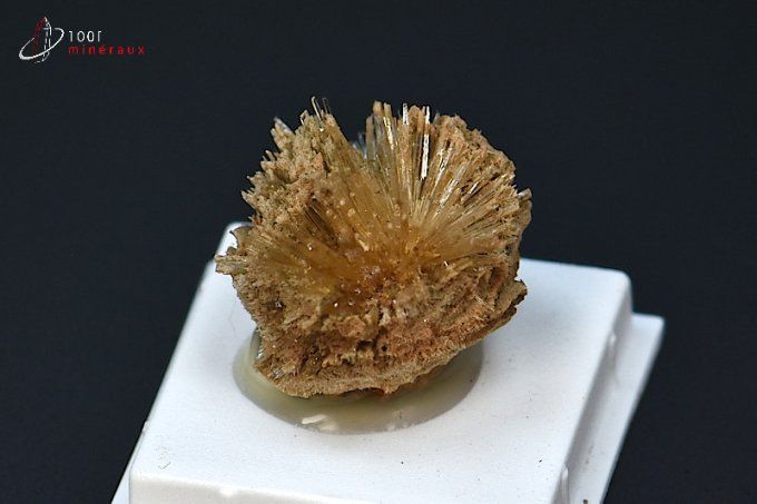 Aragonite aciculaire - Espagne - minéraux à cristaux 2 cm / 5g / BH34