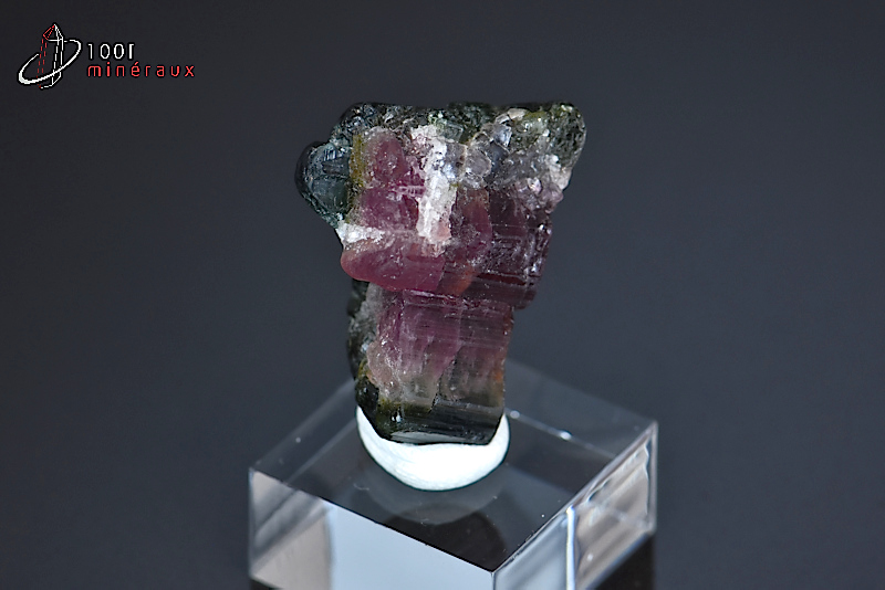 Tourmaline melon d'eau ou Elbaïte - Brésil - minéraux à cristaux 2,1 cm / 5g / BH665