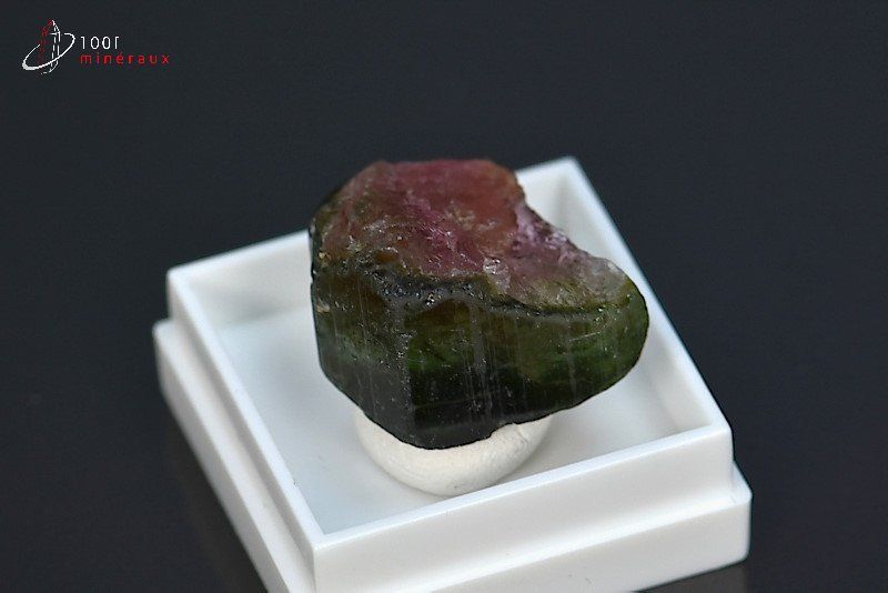 Tourmaline melon d'eau ou Elbaïte - Brésil - minéraux à cristaux 1,9 cm / 4g / BH670