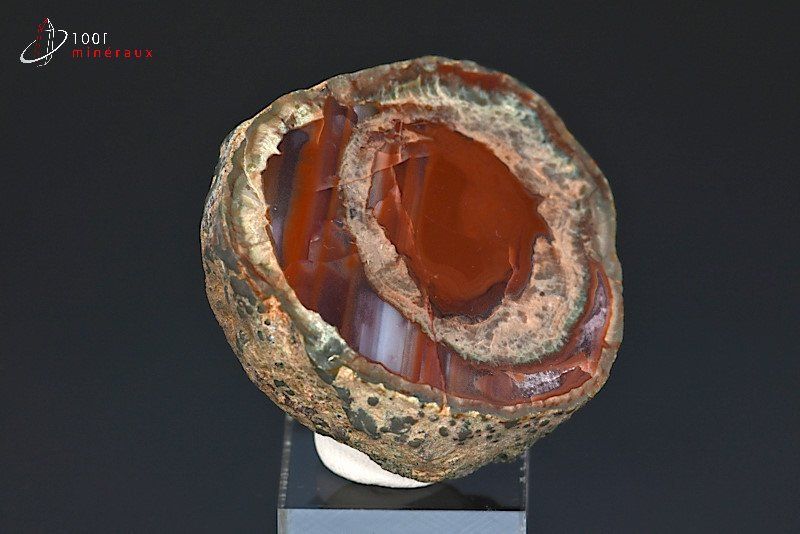 Lithophyse ou Agate de l'Estérel - France - minéraux bruts 5,4 cm / 96g / BH686