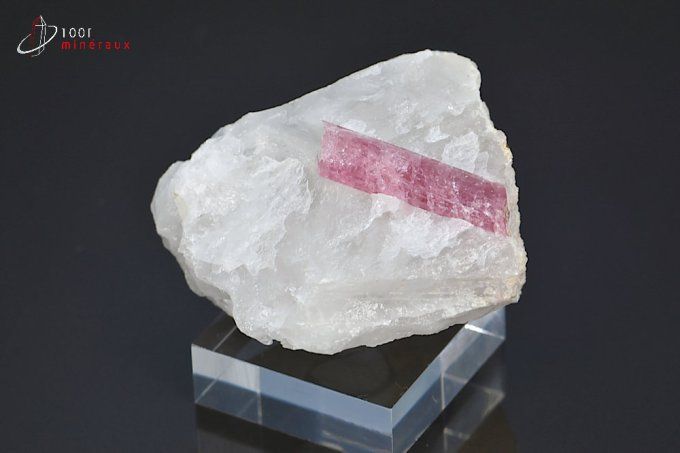 cristal de tourmaline rose sur quartz