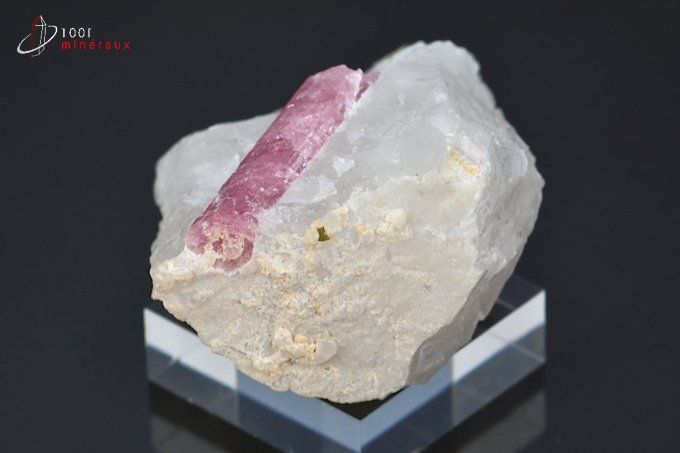 cristal de tourmaline rose sur quartz