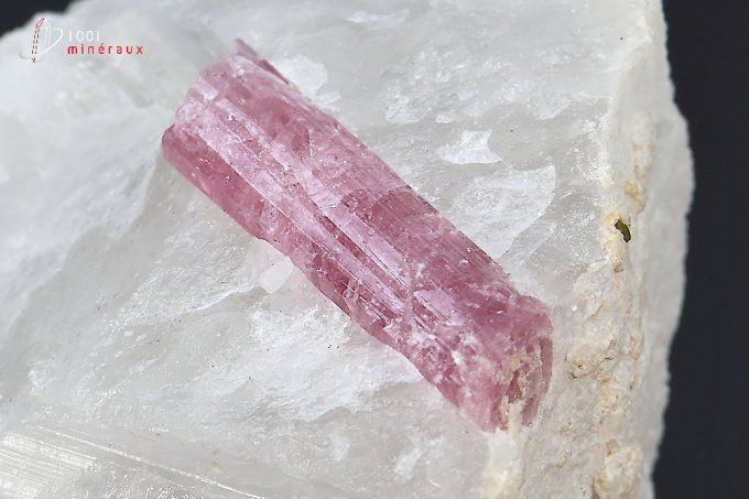 cristal de tourmaline rose sur quartz