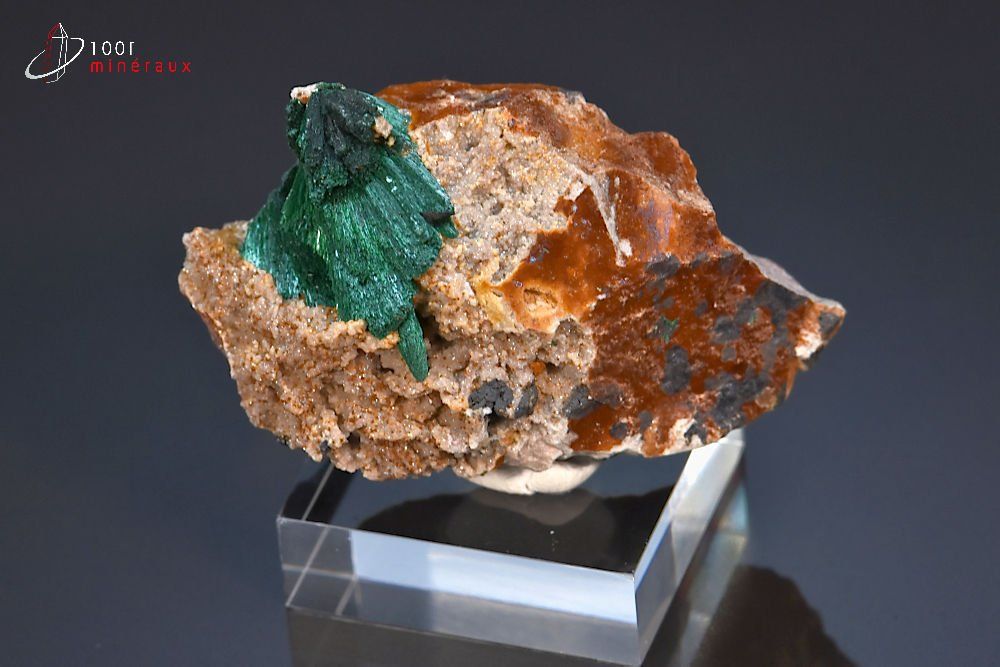 Malachite soyeuse sur roche - Maroc - minéraux à cristaux 5,2cm / 46g / BH883