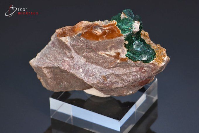 malachite soyeuse sur roche