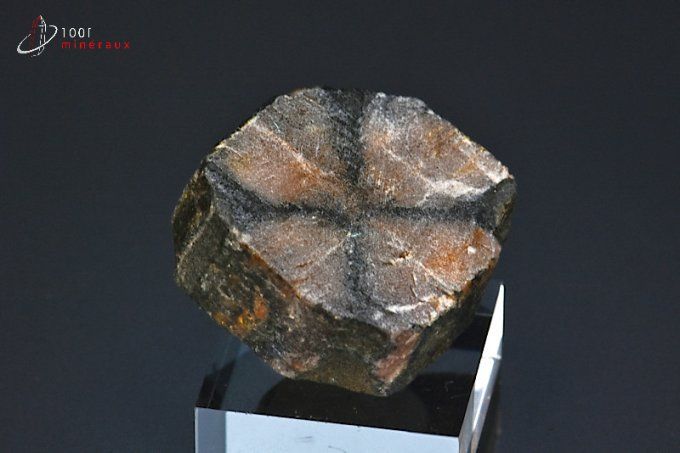 chiastolite andalousite mineraux