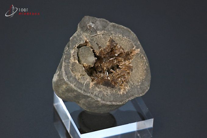 septaria-mineraux