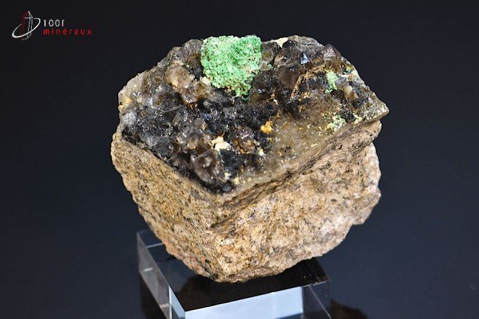 torbernite sur quartz morion