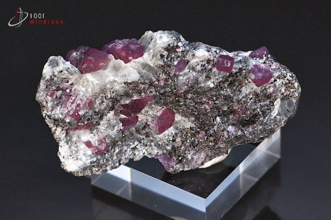nombreux cristaux de rubis corindon sur quartz