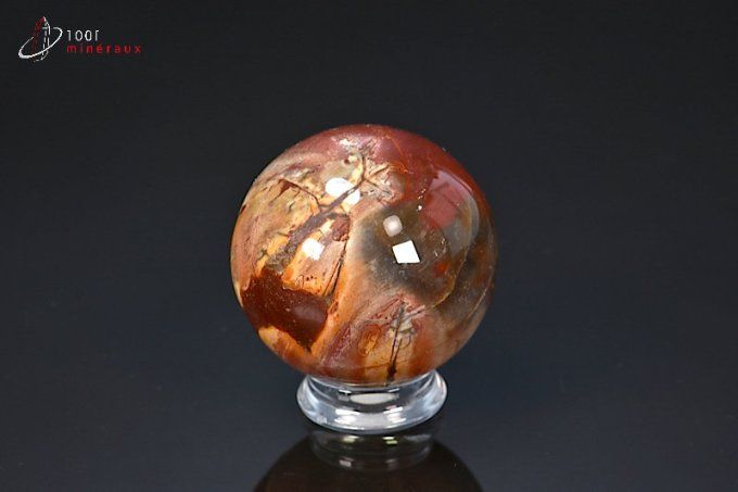 sphere polie de bois fossile