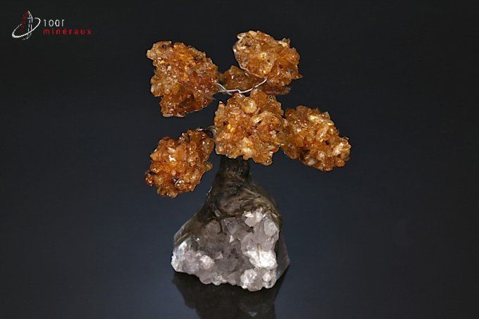 arbre de vie mineraux