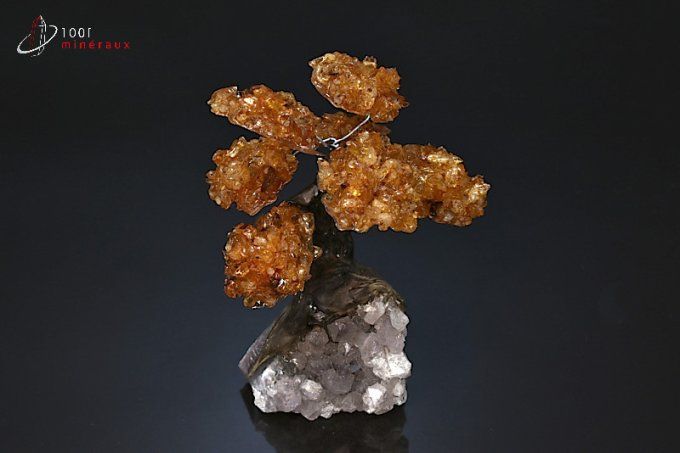 arbre de vie mineraux