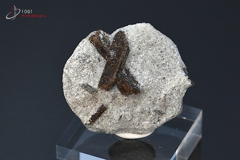 Staurotide - Russie - minéraux à cristaux 3,2cm / 14g / BK828