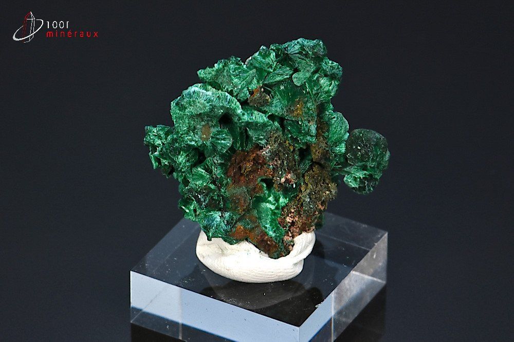 Malachite soyeuse - R.D. Congo - minéraux à cristaux 3,8 cm / 14g / BK851