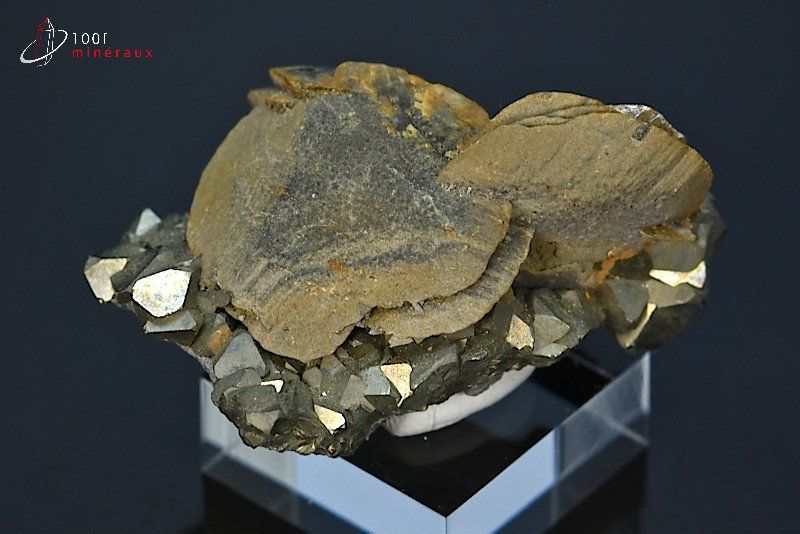 Sidérite sur Pyrite octaédrique - Pérou - minéraux à cristaux 4,8 cm / 39g / BK896