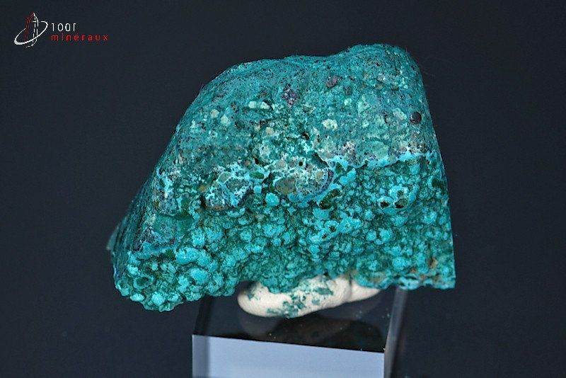 Chrysocolle semi-polie - R.D. Congo - minéraux polis 4,2 cm / 23g / BK903