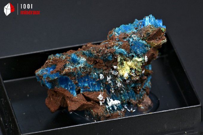 chalcanthite_mineraux_cristaux