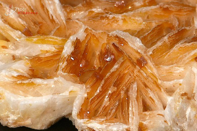 cristaux de vanadinite sur baryte