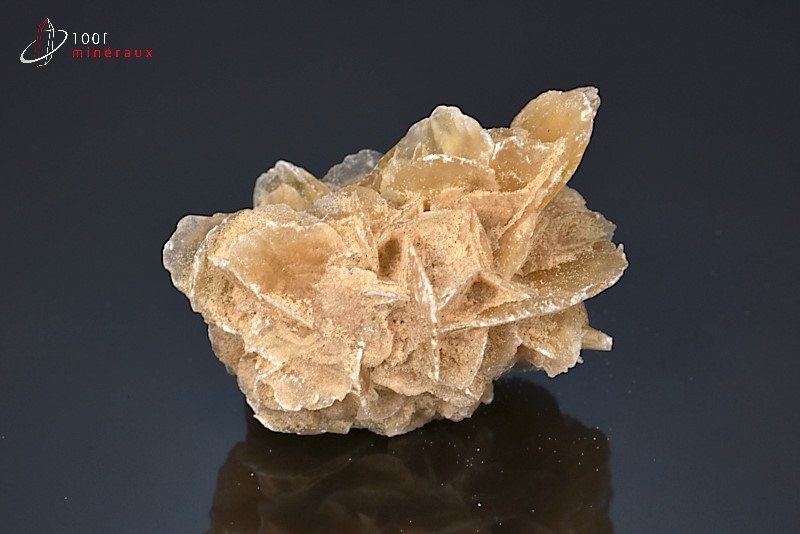 Rose des sables - Sahara - minéraux à cristaux 5,7 cm / 61g / BL172