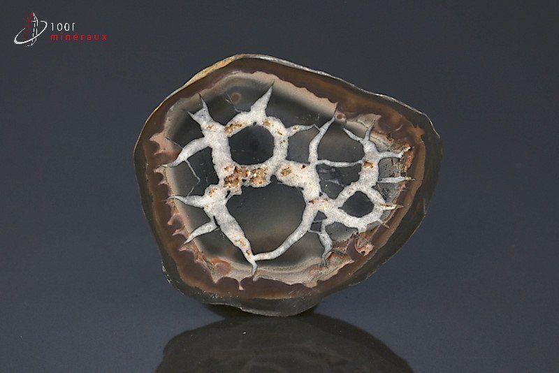 Septaria sciée polie - Maroc - minéraux bruts 4,2 cm / 26g / BL372