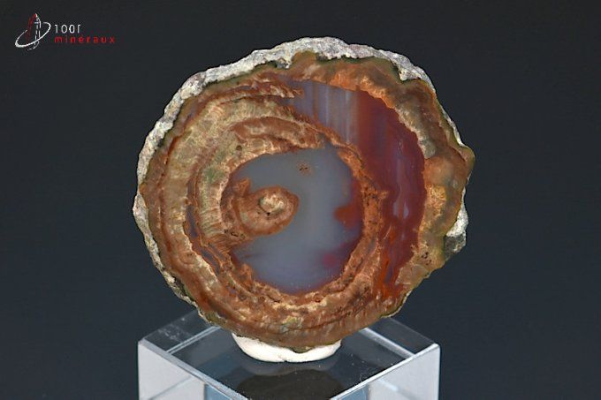 lithophyse ou agate de l'esterel