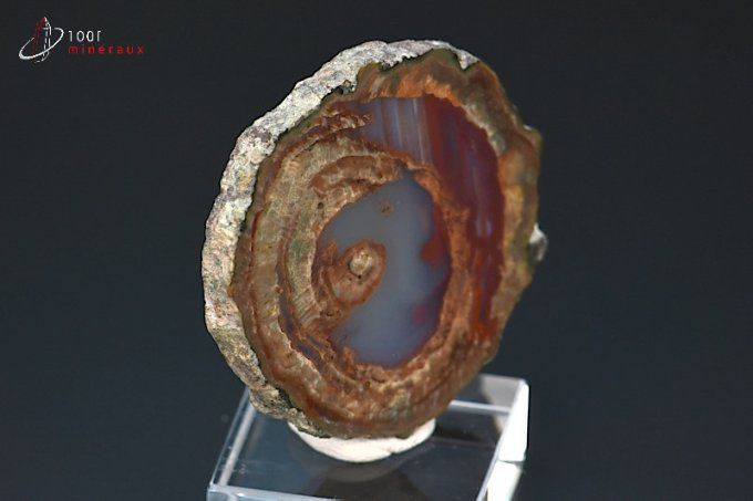 lithophyse ou agate de l'esterel