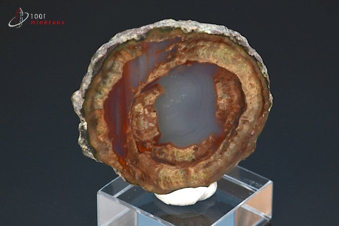 lithophyse ou agate de l'esterel