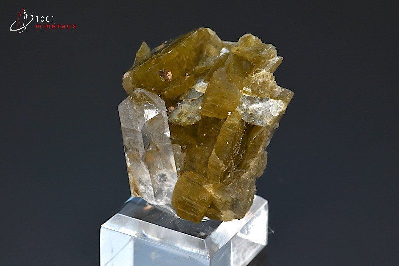 Cristal de Quartz sur Sidérite - Brésil - minéraux à cristaux 3,5 cm / 31g / BL510