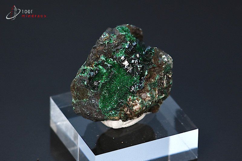 Brochantite et Dioptase - Maroc - minéraux à cristaux 2,8 cm / 23g / BL679