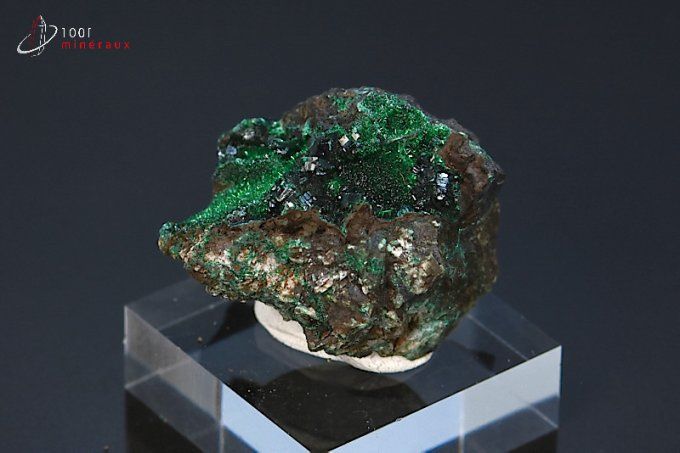 cristaux de brochantite et dioptase