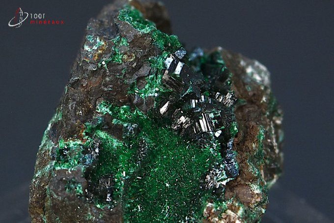 cristaux de brochantite et dioptase