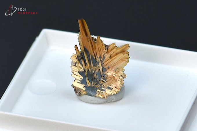 cristaux dores de rutile sur ilmenite noir