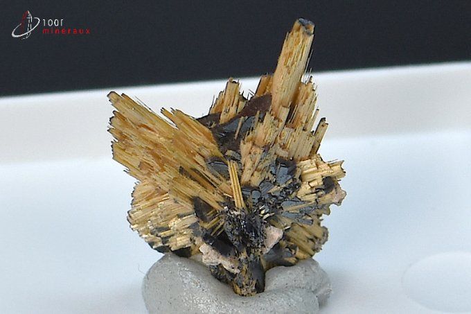 cristaux dores de rutile sur ilmenite noir