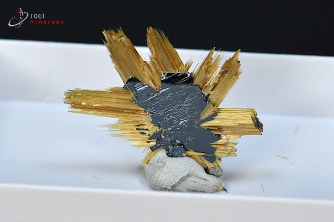 cristaux de rutile sur ilmenite