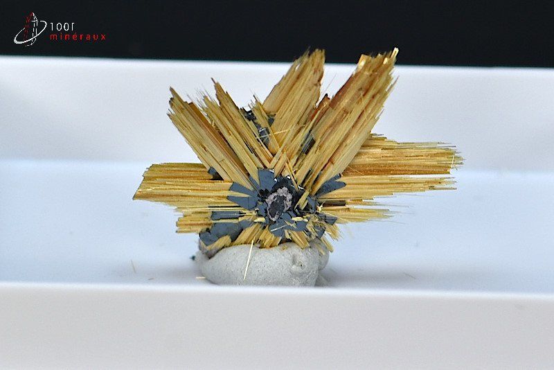 Rutile sur Ilménite - Brésil - minéraux à cristaux 2,5 cm / 1,6g / BL829