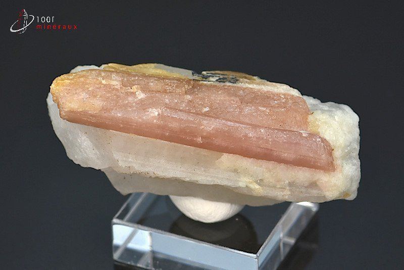 Tourmaline rose ou Rubellite sur Quartz - Brésil - minéraux à cristaux 5,6 cm / 45 g / BM221