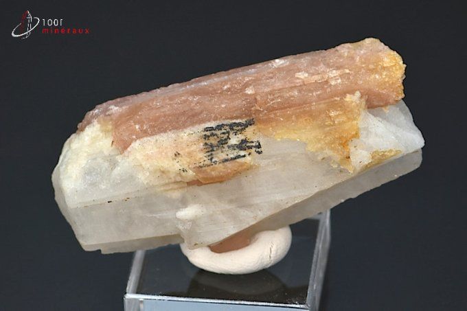 cristal de tourmaline rose sur quartz